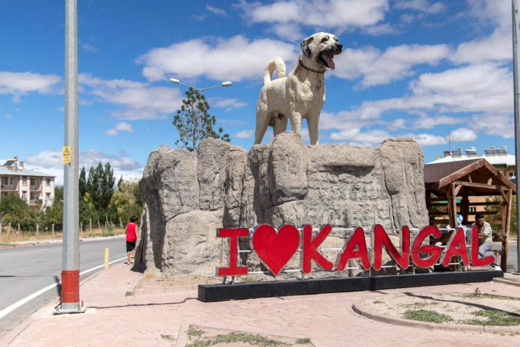 Sivas Kangal’dan Çanakkale’ye Uzanan Lezzet Yolculuğu: Masırlık Izgara Köfte Çorba Lokantası’nda Anadolu’nun Sıcaklığı