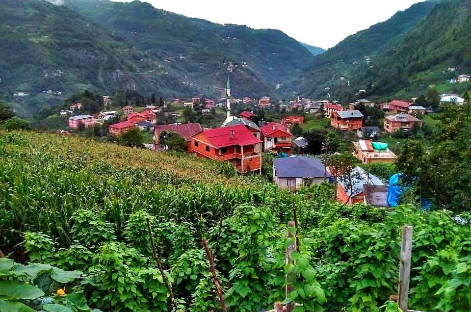 Trabzon Tonya’dan Çanakkale’ye Uzanan Lezzet Yolculuğu: Masırlık Izgara Köfte Çorba Lokantası