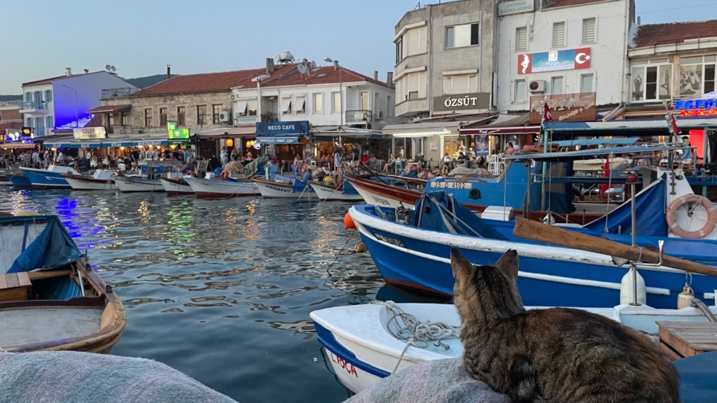 Foça’dan Çanakkale’ye Uzanan Lezzet Yolculuğu: Masırlık Izgara Köfte Çorba’da Ege’nin Sıcaklığı