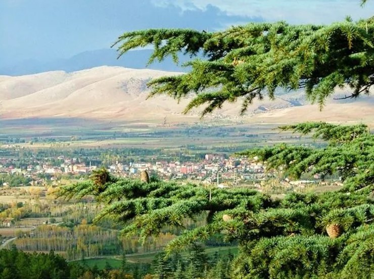 Isparta Şarkikaraağaç’tan Çanakkale’ye Gelenlerin Lezzet Durağı: Çanakkale Masırlık Izgara Köfte Çorba Lokantası